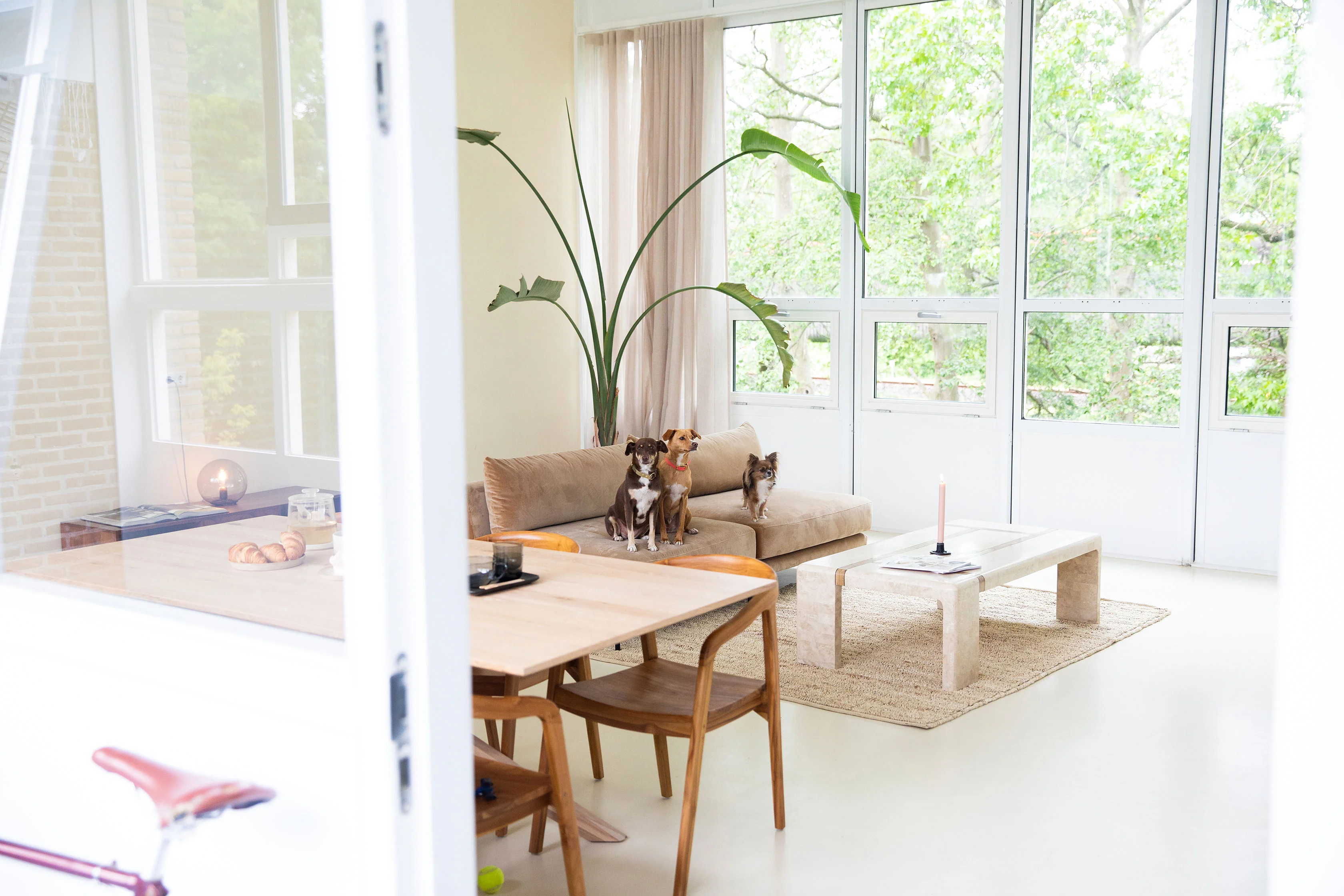 vind jouw match op verhuisdieren.nl